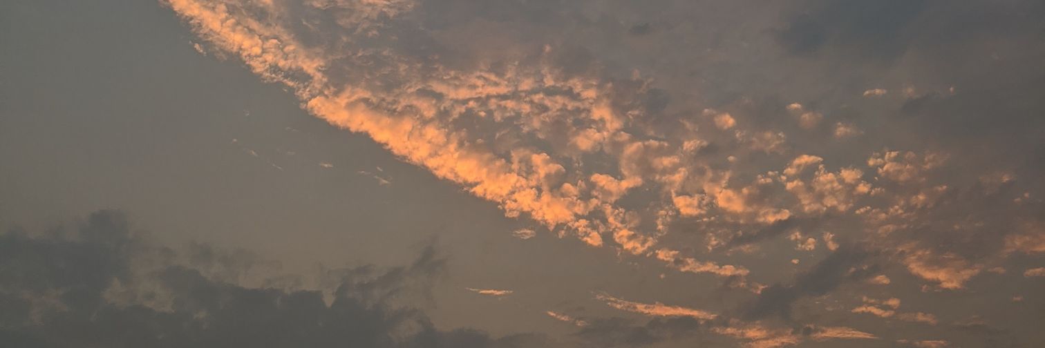 Sunshineacts's profile banner image
