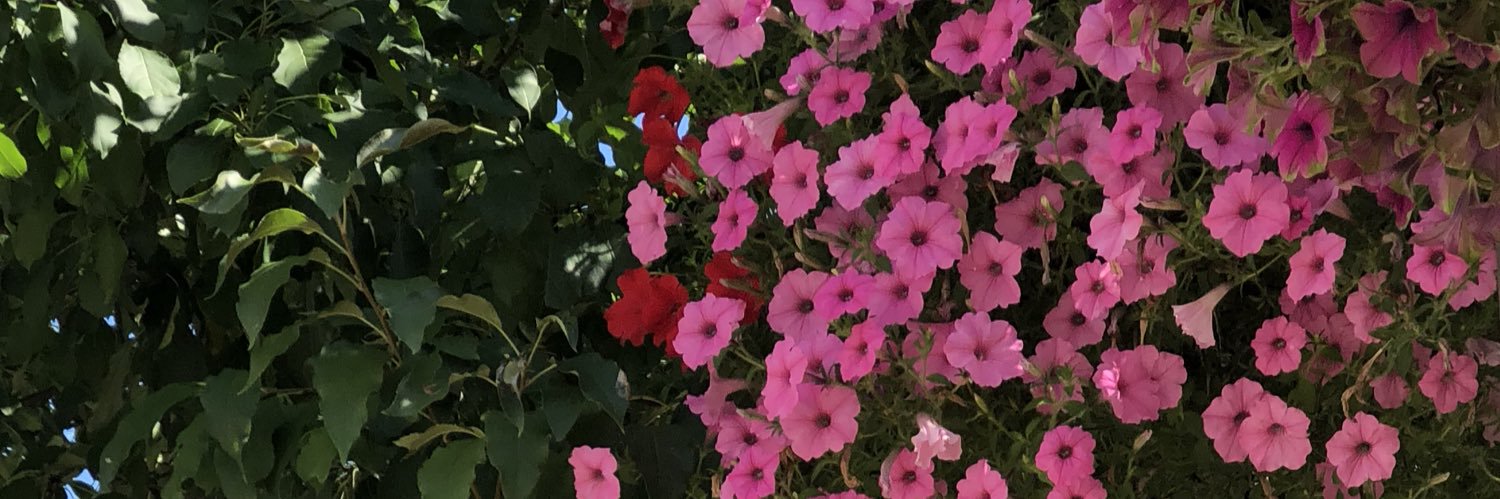 HudaSafia's profile banner image