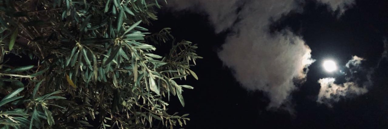 msh_xii's profile banner image