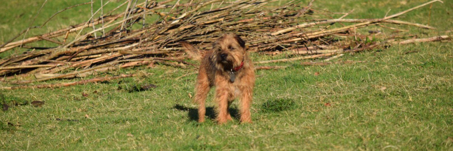 PoppytheBT2's profile banner image