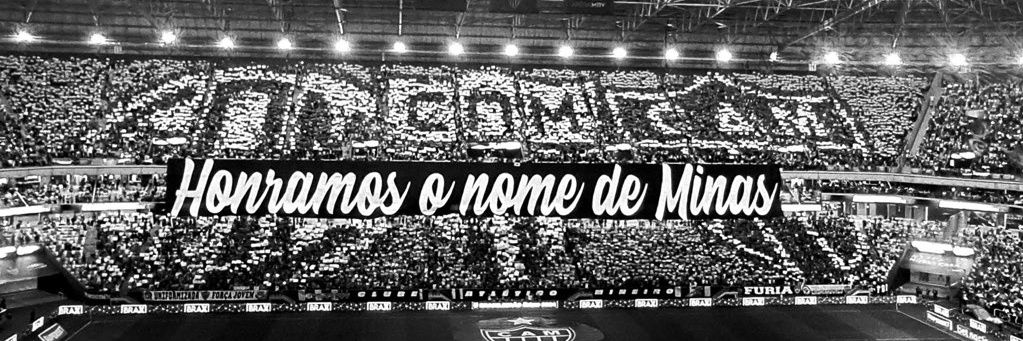 Leo banner
