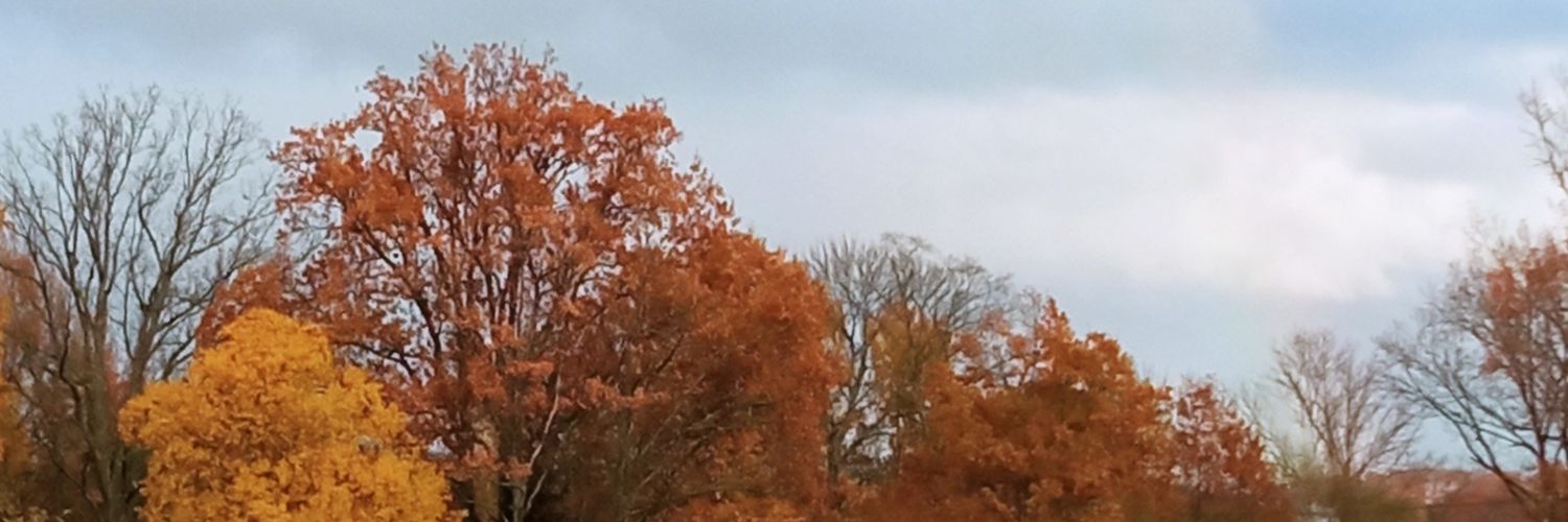 Twiterpuika's profile banner image