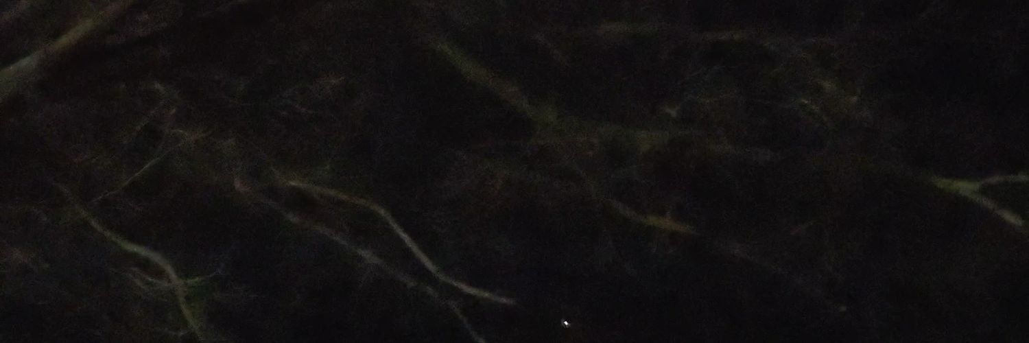 litacimus's profile banner image
