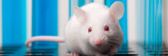 CaliforniaBiomedical banner