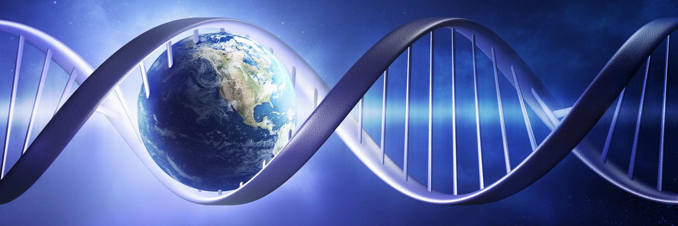 Proyecto Alfas Rol banner