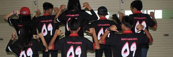 Shadow Dance School banner