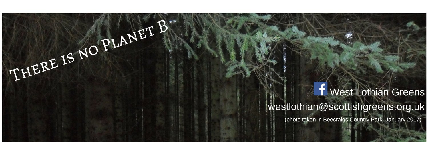 WLothianGreens's profile banner image