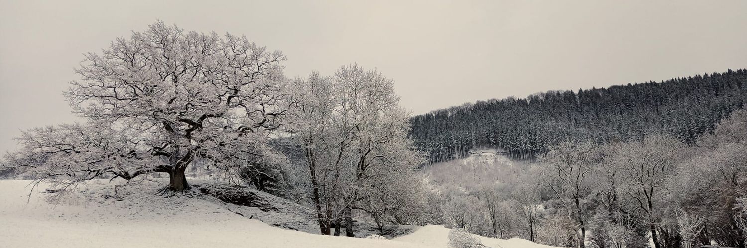 henscottage's profile banner image