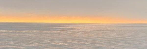 Cyrille.R banner