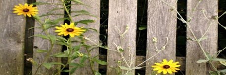 Weichert_FS's profile banner image