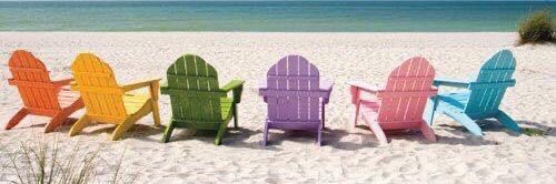 Cellulite Queen banner