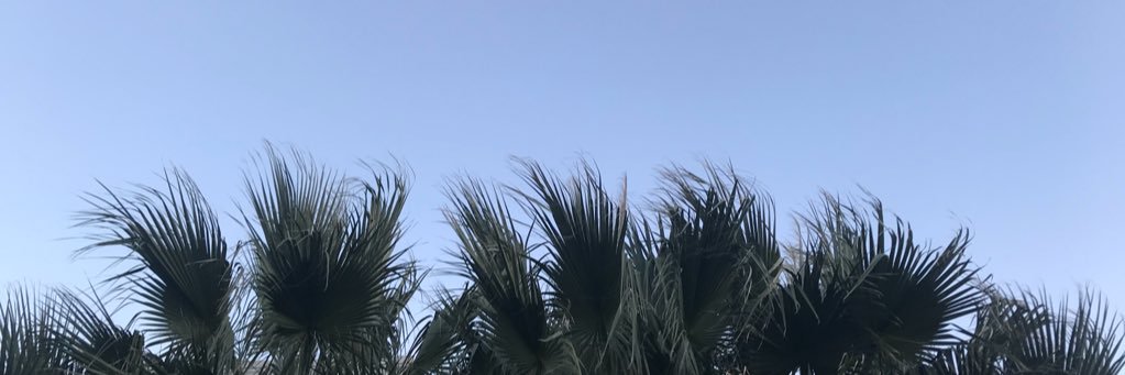 itsfinallyfine's profile banner image