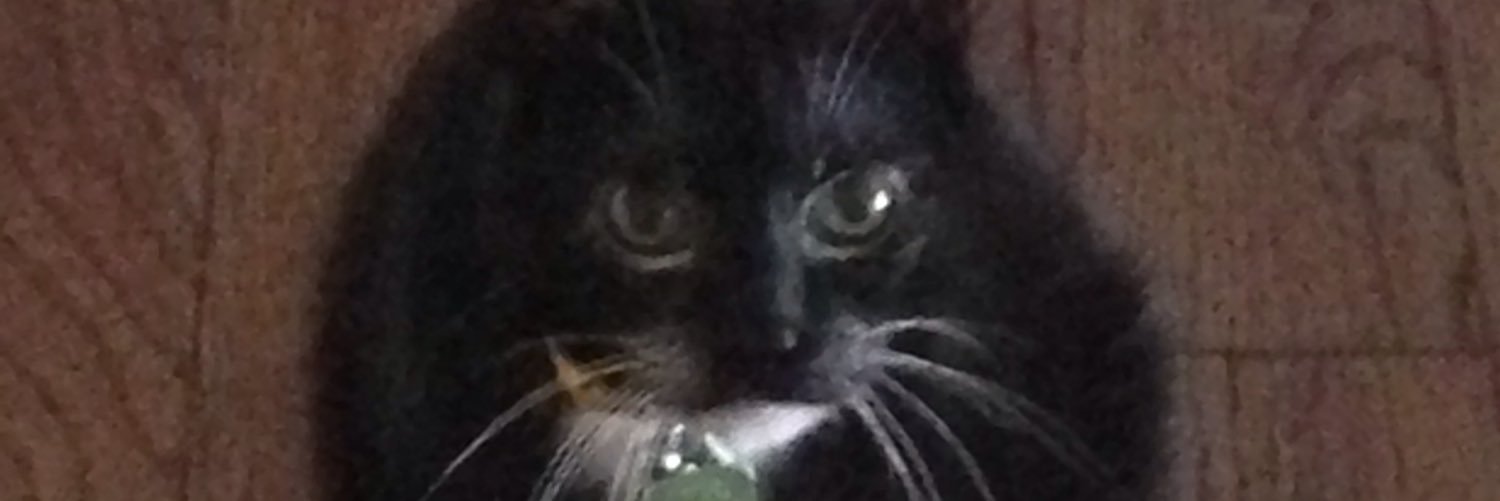 ItsiBitsiD's profile banner image