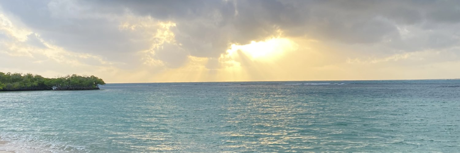 contravidx's profile banner image