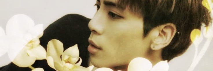 vc tei tota ☆ banner