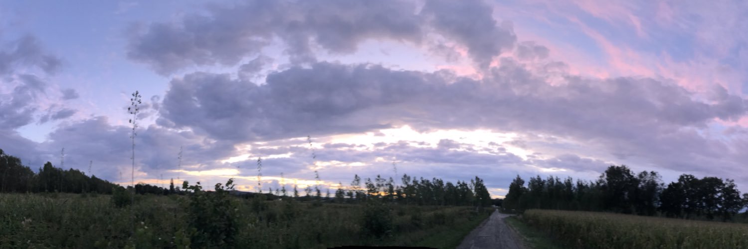 David Harrison 🎷🎸 banner