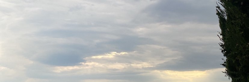 becky banner
