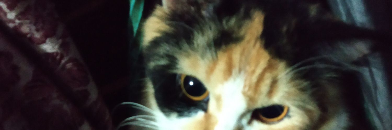Devi_Andini06's profile banner image