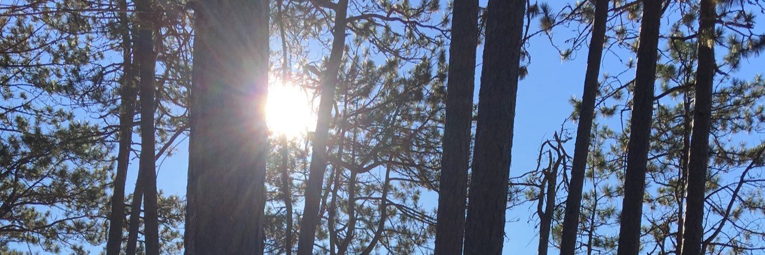 vernapyoung's profile banner image