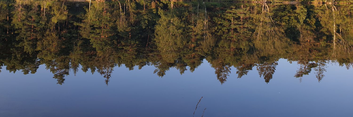 tenow_'s profile banner image
