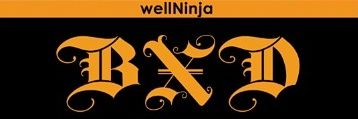 wellNinja 🥷🏽 banner