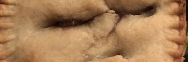 Anoseforhorror's profile banner image