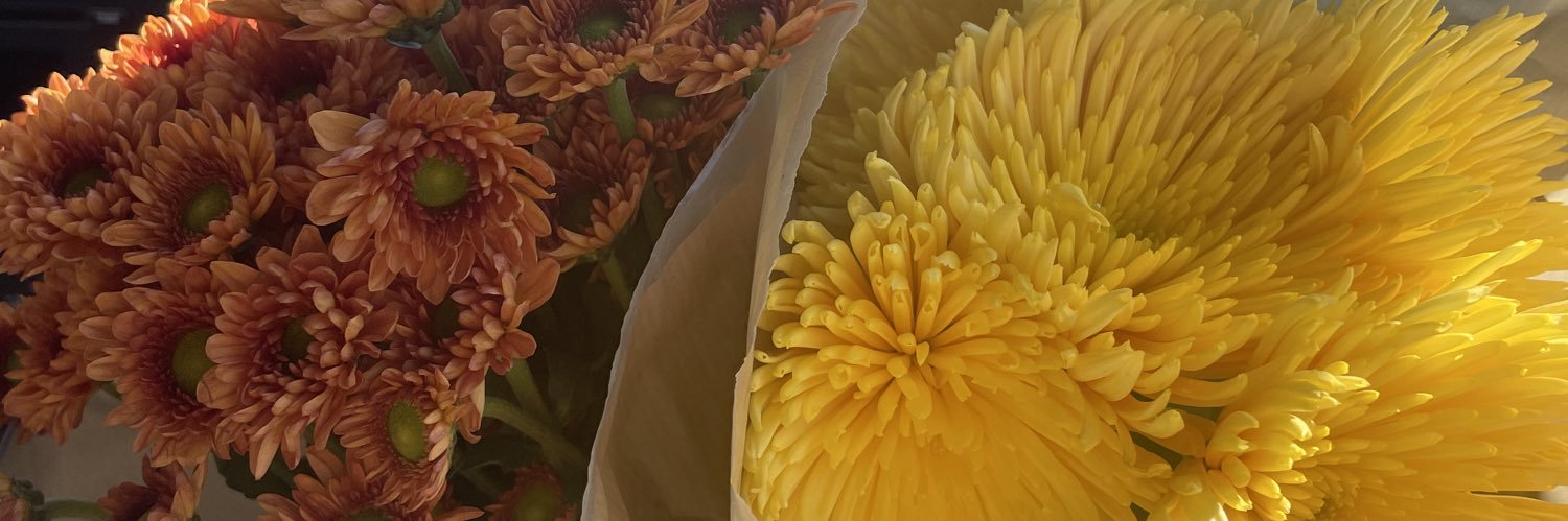 _caitlinwing's profile banner image