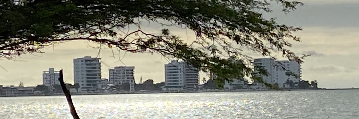 CesarSuquitana's profile banner image