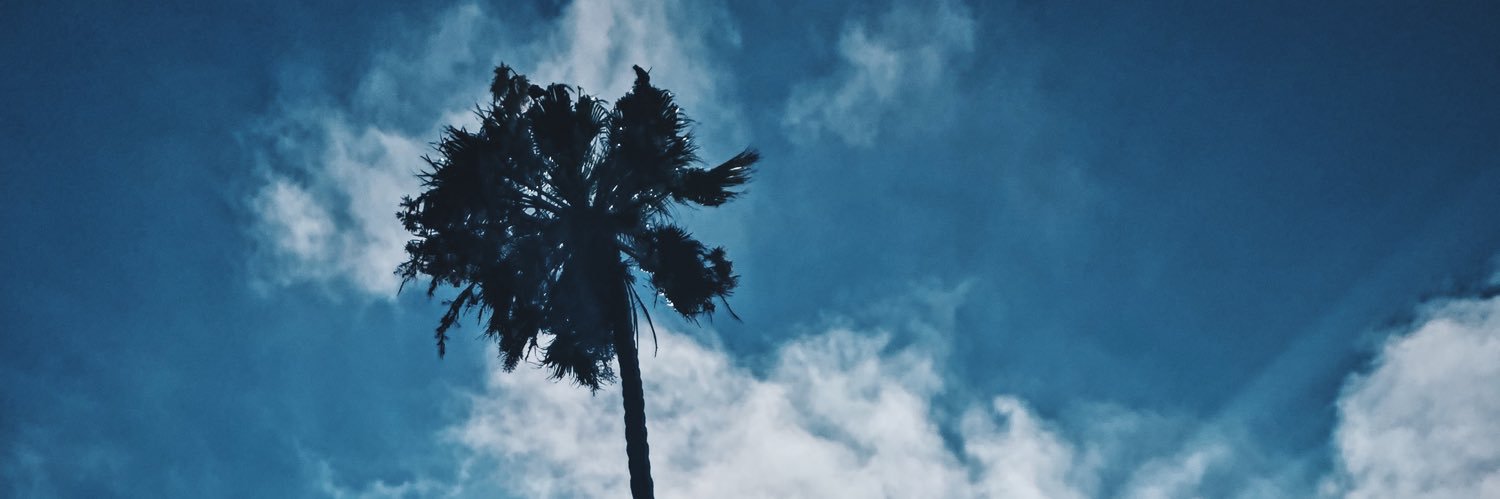 amelipr's profile banner image