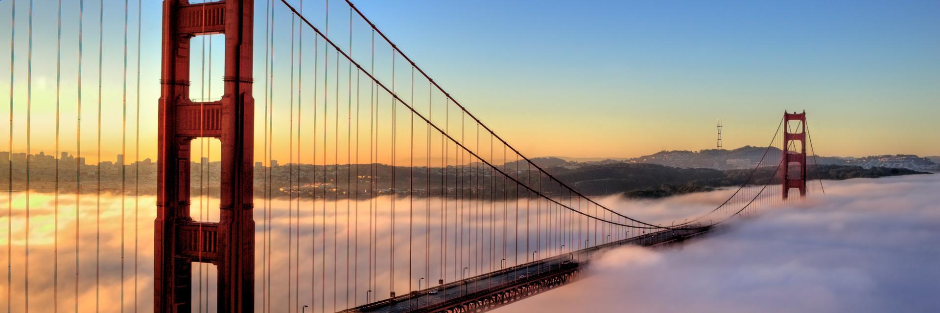 Toby Armfield banner