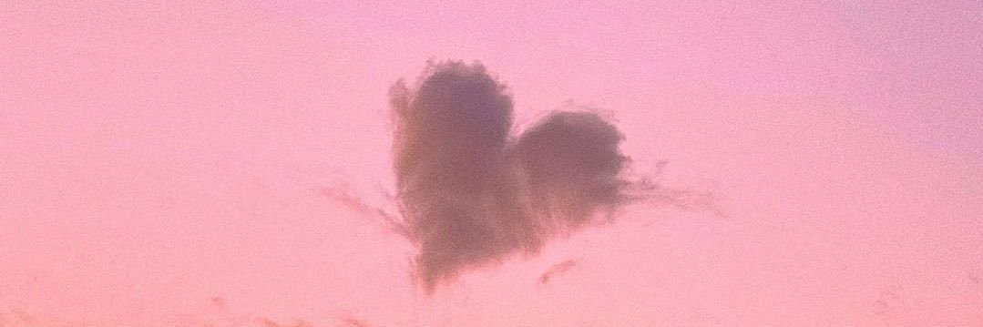 seda_camm's profile banner image