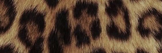 lidi_ls's profile banner image