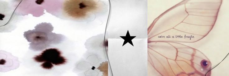 nahnida's profile banner image