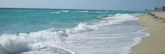 Mervat Aly💻🔎📖✏️ banner