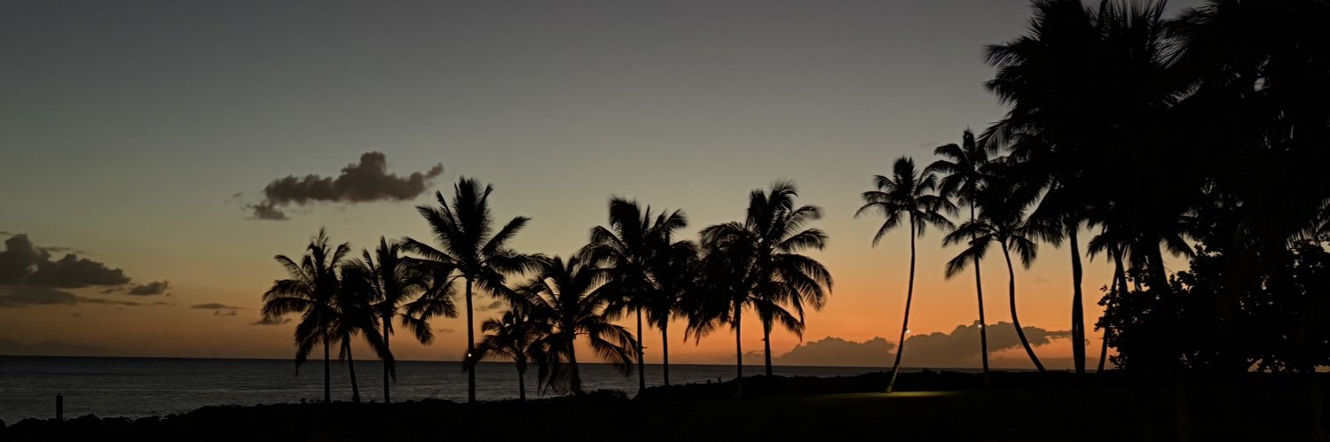 Brenda Esham Box banner