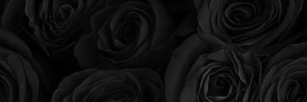 ForeverTeiAndra's profile banner image