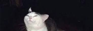 dandelionjar's profile banner image