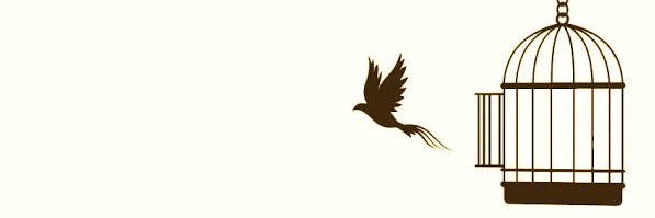 leo1dutra's profile banner image