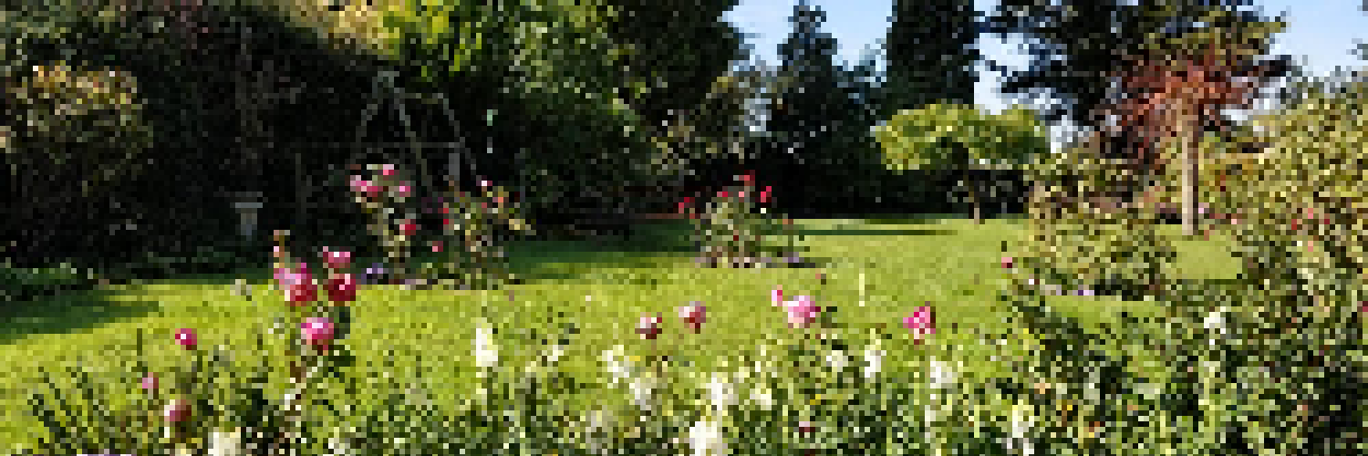 Ed Bishop 🧾 banner