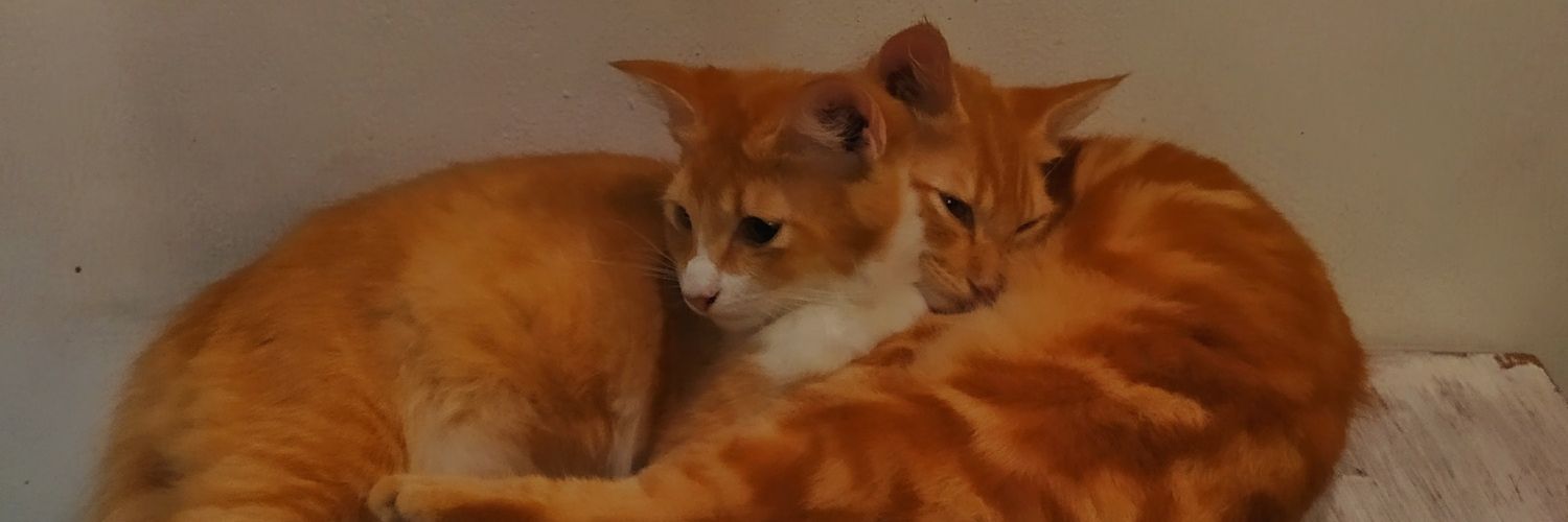 muglast's profile banner image