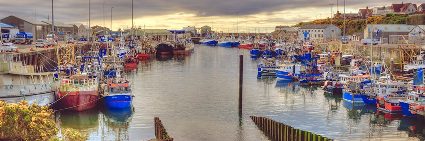 Sea Source NI banner