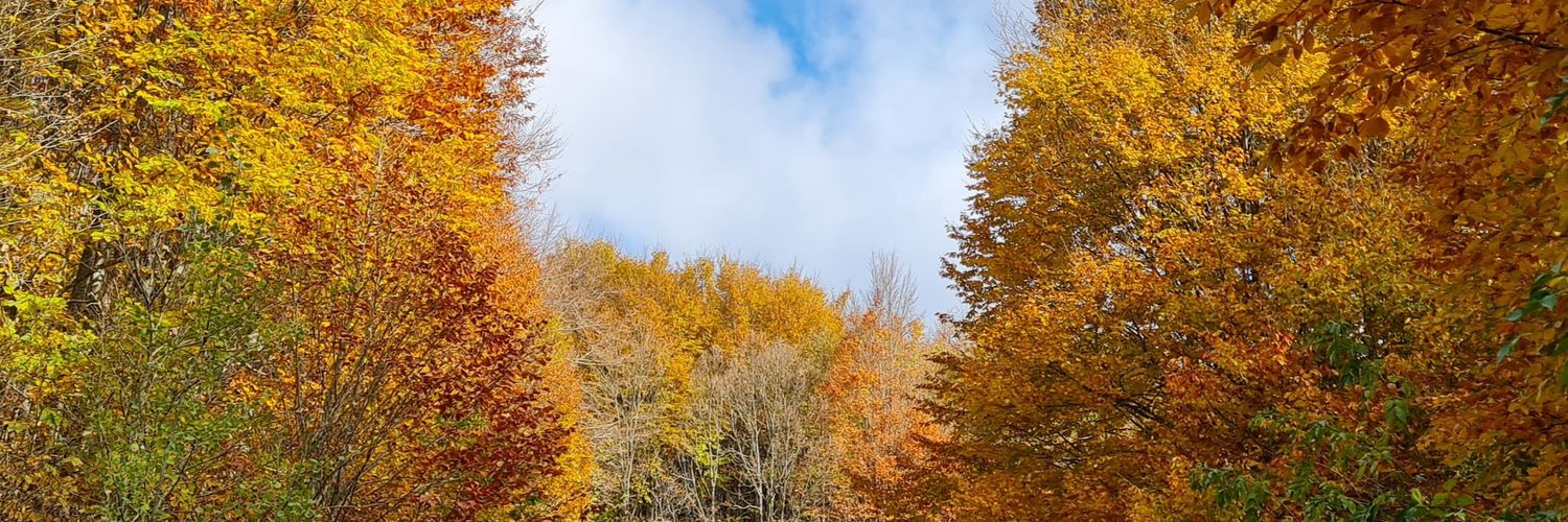 kibraa_'s profile banner image