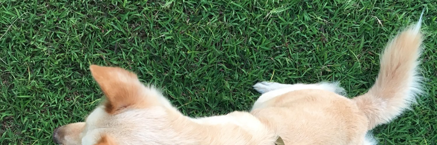 shrlys's profile banner image