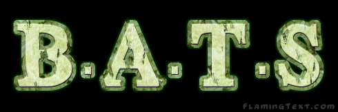 BATS_Band's profile banner image