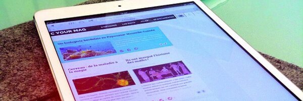 AlexandreMarsat Profile Banner