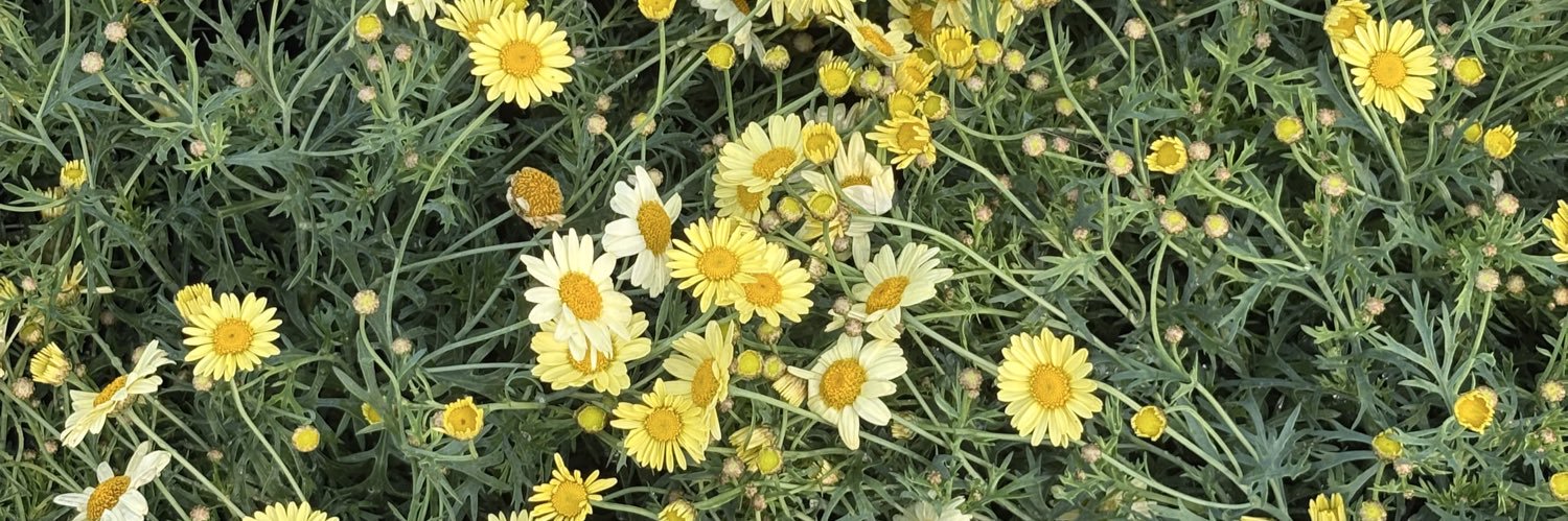 myaiemm's profile banner image