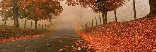 cumabenzer's profile banner image