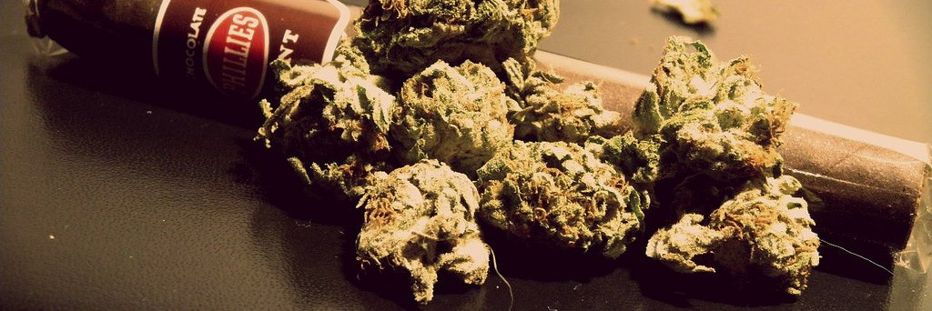 blunt_za's profile banner image