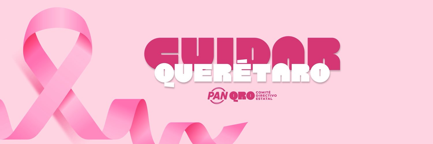 PANqueretaro's profile banner image
