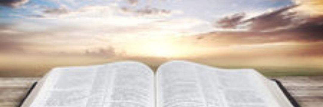 padretojo's profile banner image
